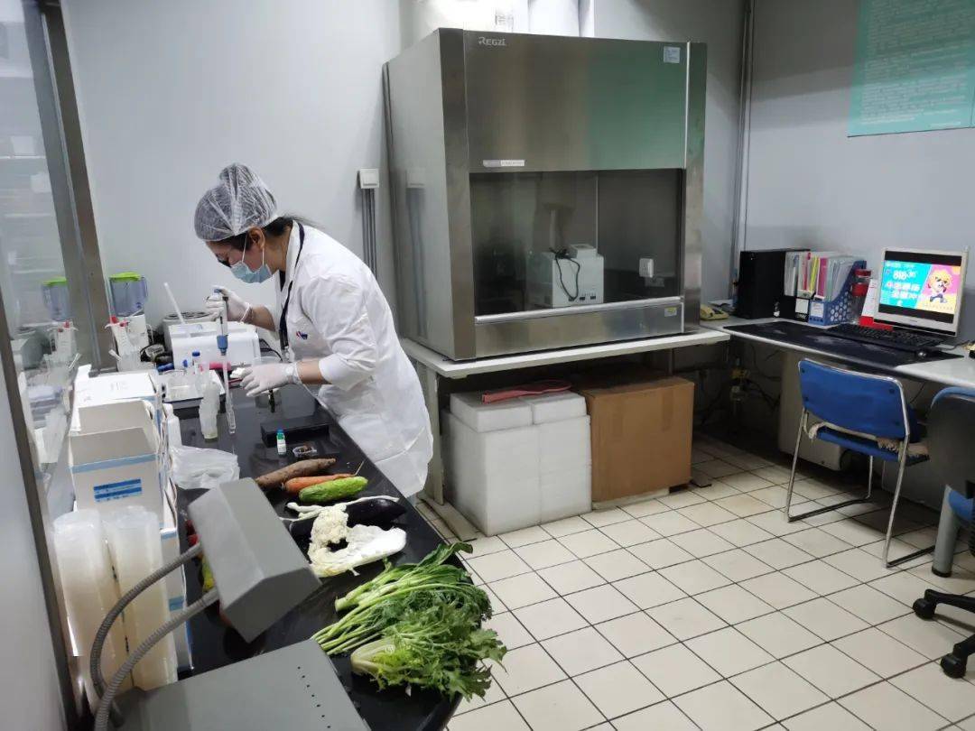 玉树食品检测实验室装修方案